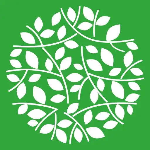 Haryana School of Digital Marketing, Sector 14, Hisar, Haryana