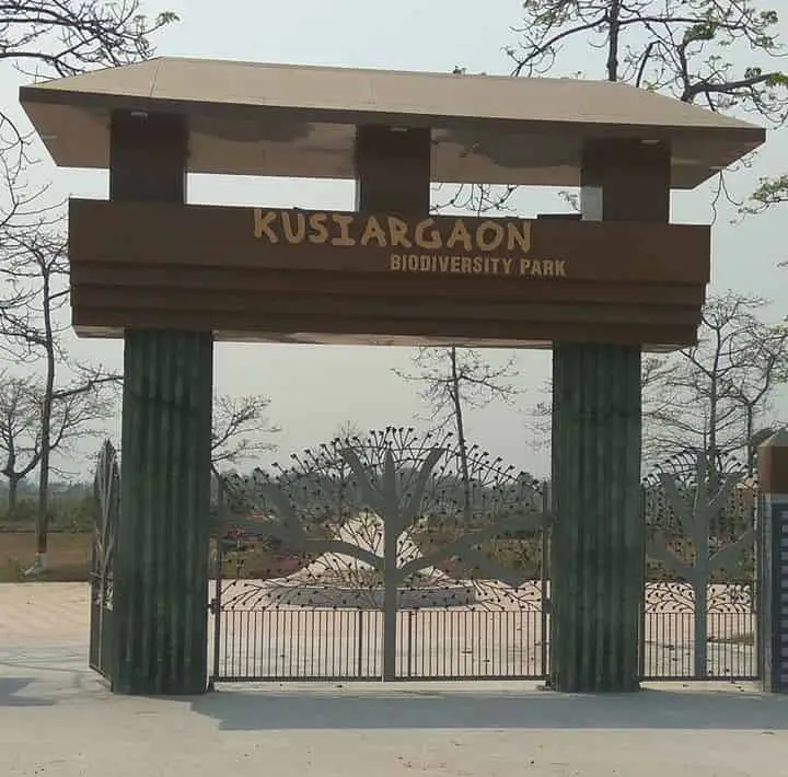 Kusiargaon Biodiversity Park Museum, Araria, Bihar