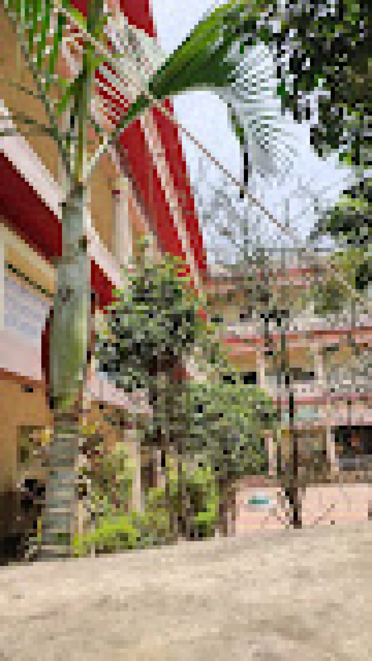 Shri Dadabadi Jain Higher Secondary School, Balaghat, Madhya Pradesh