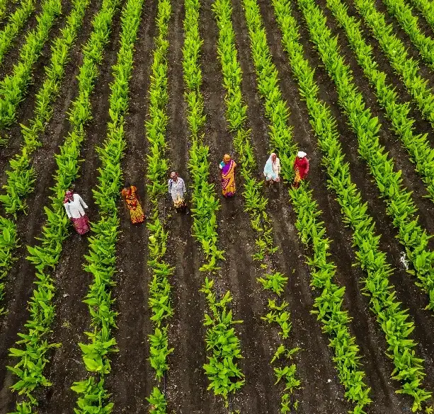 Redmond Merchants, Sonipat, Haryana