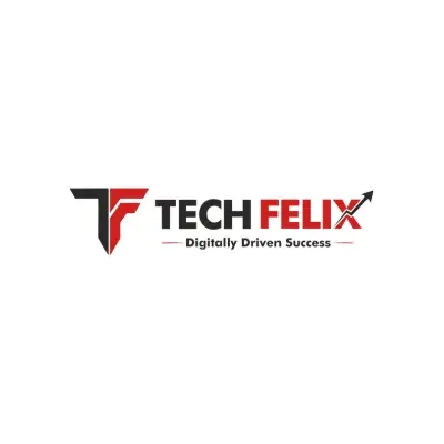 Tech Felix - Digital Marketing Company In India
