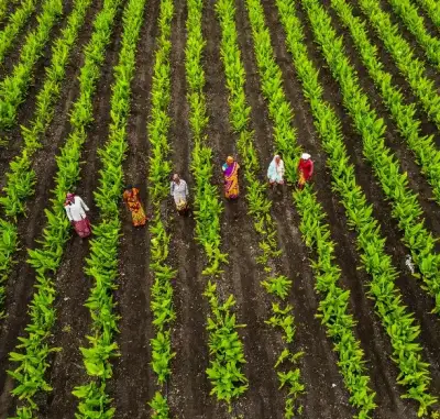 Redmond Merchants, Sonipat, Haryana
