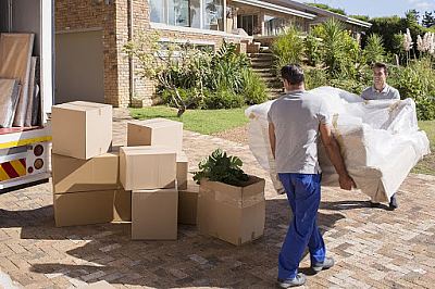 Panchkula Cargo Movers & Packers,Sector 24, Panchkula