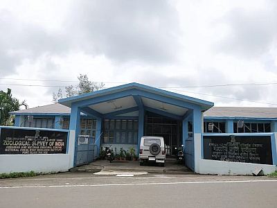 ZSI REGIONAL MUSEUM, Port Blair, Andaman and Nicobar Islands