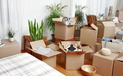 Always Safe Packers And Movers,Seema Dwar, Dehradun