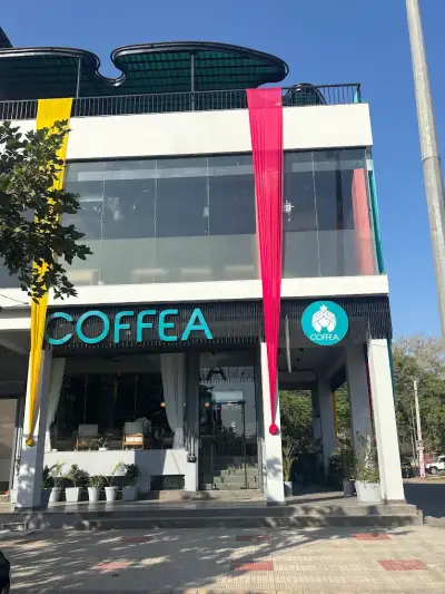 coffea hisar, Haryana