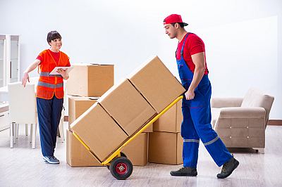 Trans Gati Packers and Movers,Daulatpur, Pathankot — Packers And Movers in Pathankot