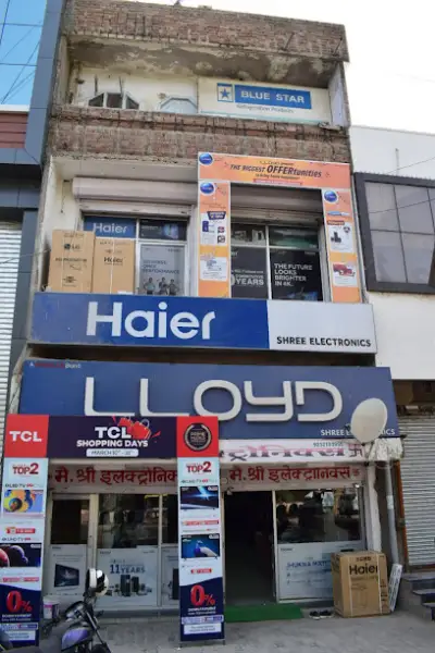Shree Electronics, Vasant Vihar, Pali, Rajasthan