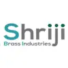 Shriji Brass Industries, Jamnagar, Gujarat