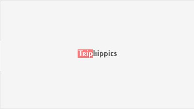 TripHippies Tour and Travels Agency — Tours and Travel Agency in New Delhi