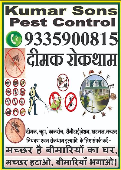 Kumar Sons Pest Control Services and Trading Kanpur, Uttar Pradesh — Medicals in Kanpur