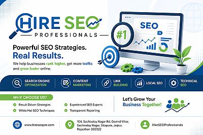 Hire SEOPro - Internet Marketing Services — Software Company in Jaipur