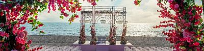 WedMyDay wedding planning platform Jaipur Rajasthan — Agency in Jaipur