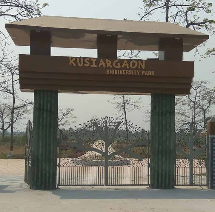Kusiargaon Biodiversity Park Museum, Araria, Bihar