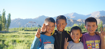 Swan Tours New Delhi, Delhi