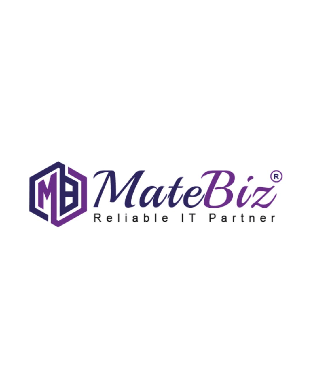 Matebiz Digital Marketing Agency Pitampura, New Delhi, Delhi logo