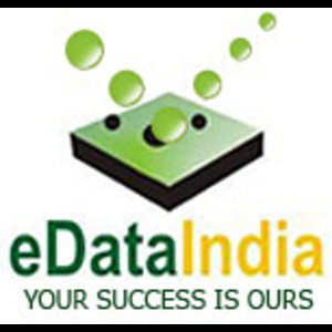 eDataIndia - Data Entry Service Provider New Delhi, Delhi logo