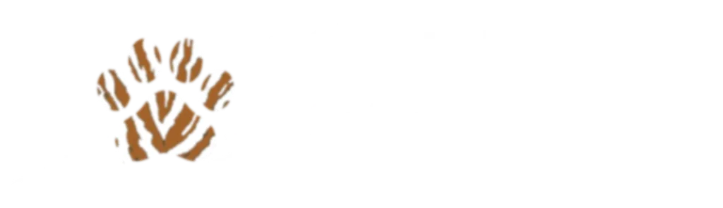 Curated Canopy Safaris Mumbai, Maharashtra logo
