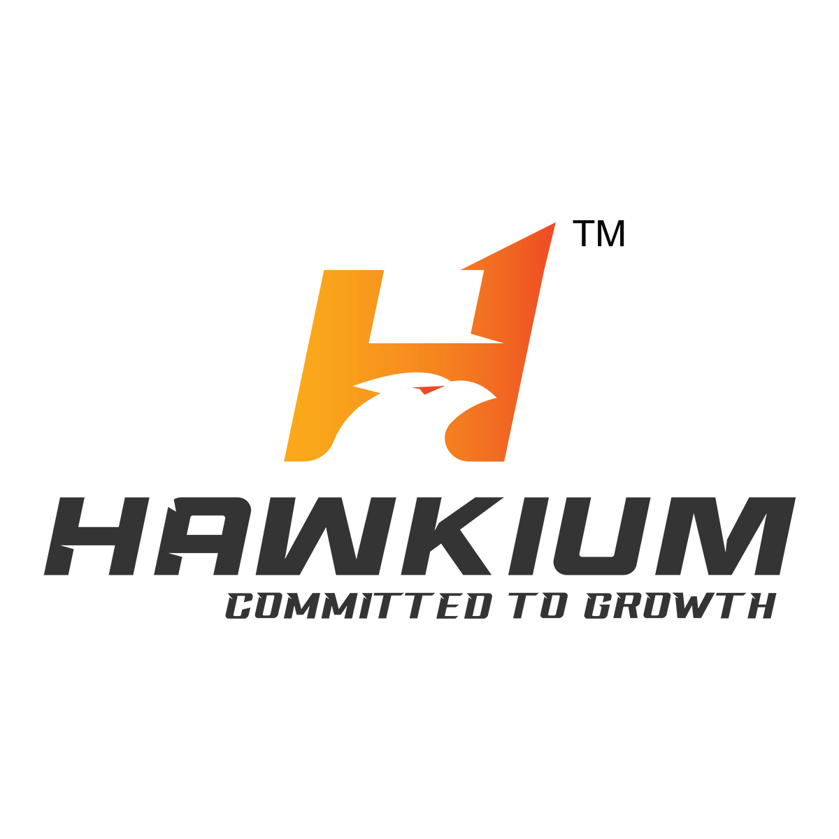 Hawkium Digital Marketing Agency Ahmedabad, Gujarat logo