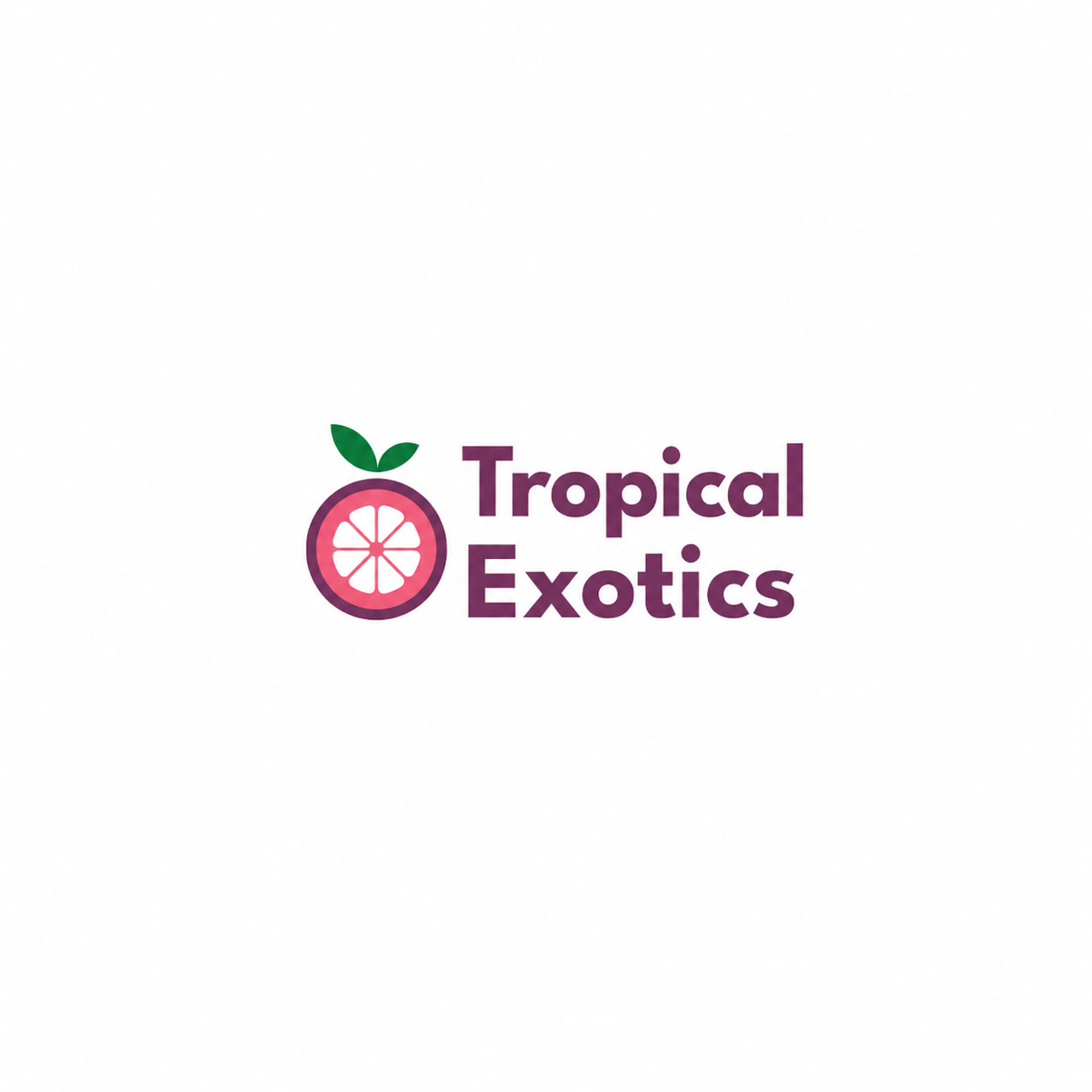 Tropical Exotics - Fresh Exotic & Tropical Fruits Wholesaler in Bengaluru, Karnataka logo