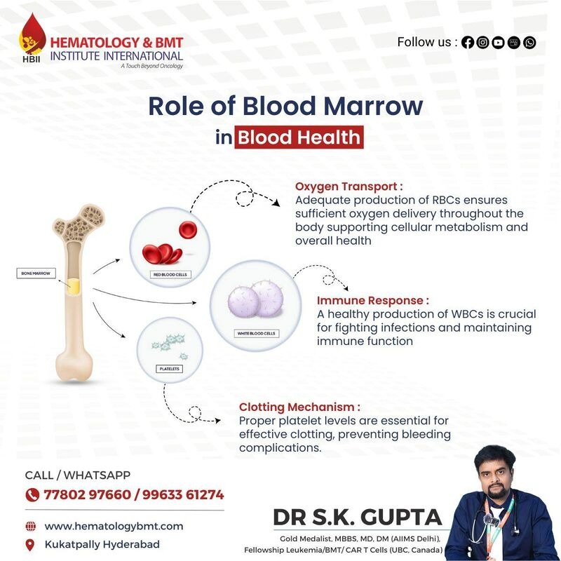 Dr. S K Gupta- Hematology BMT Institute International in Hyderabad, Telangana logo